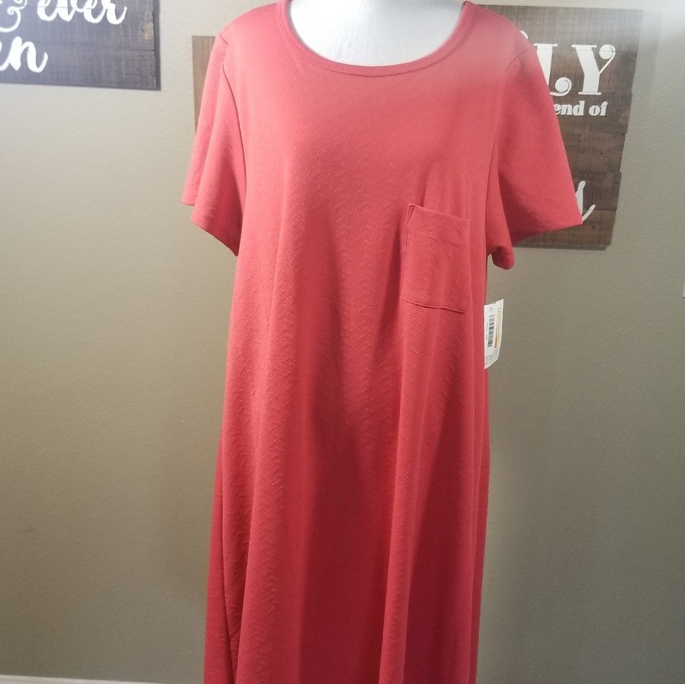 Gorgeous LuLaRoe Carly
